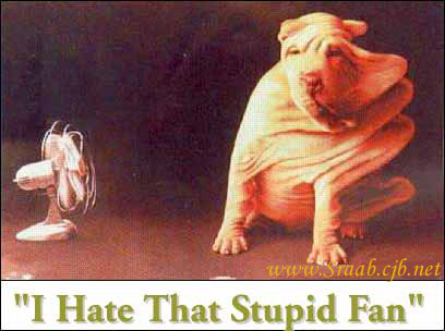 dogfan.jpg