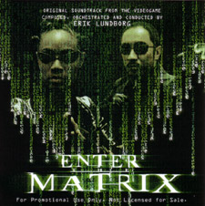 enter_the_matrix_lrg.jpg